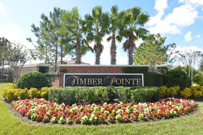 Building Photo - TIMBER POINTE at Timber Springs 4br 3.5ba ...