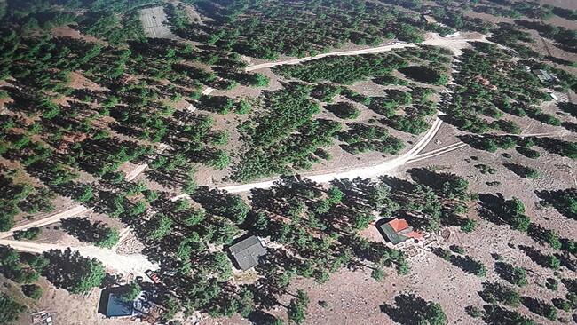 Building Photo - 1835 Mountain Meadow Ln
