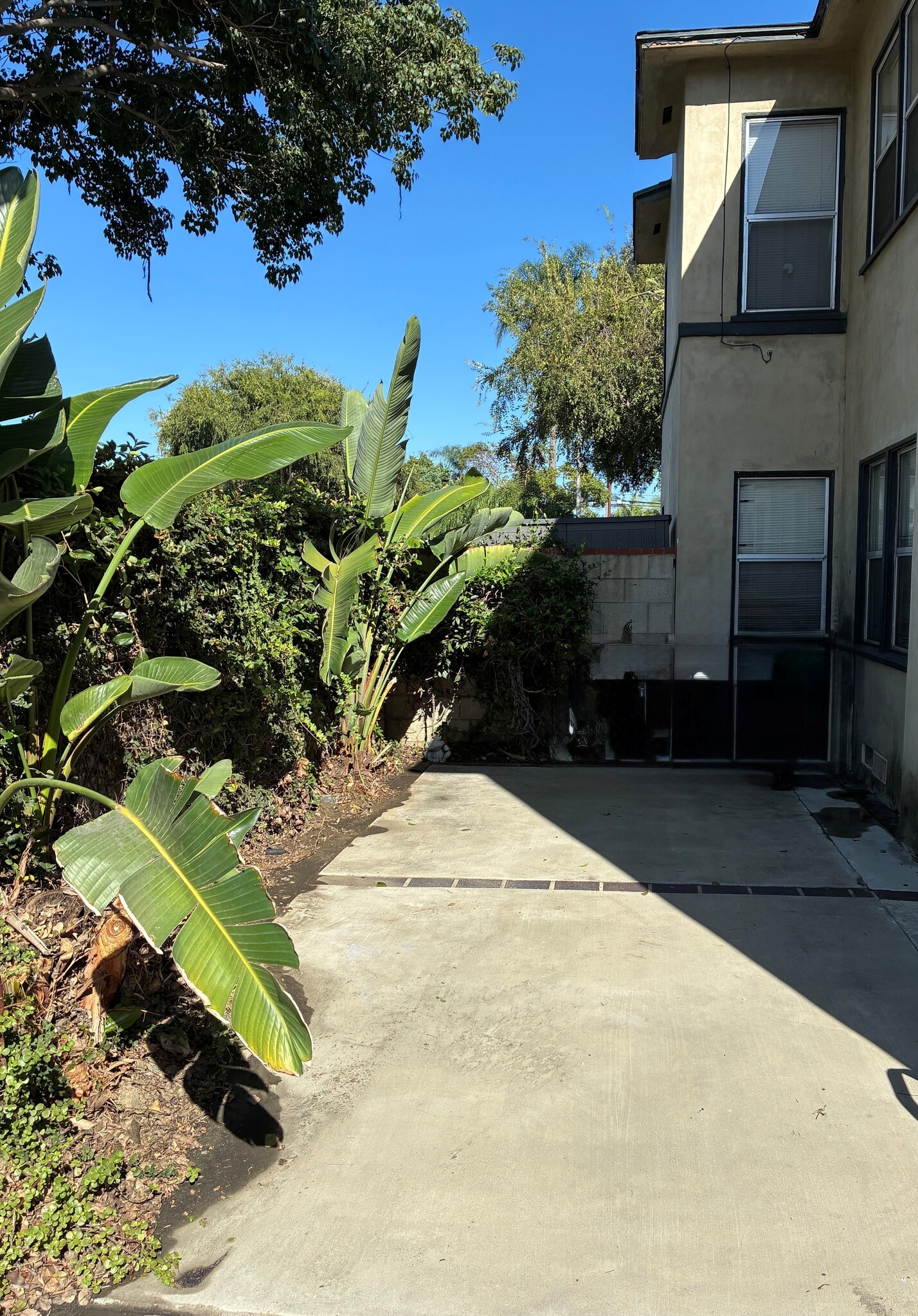 Yard - 2341 Pine Ave