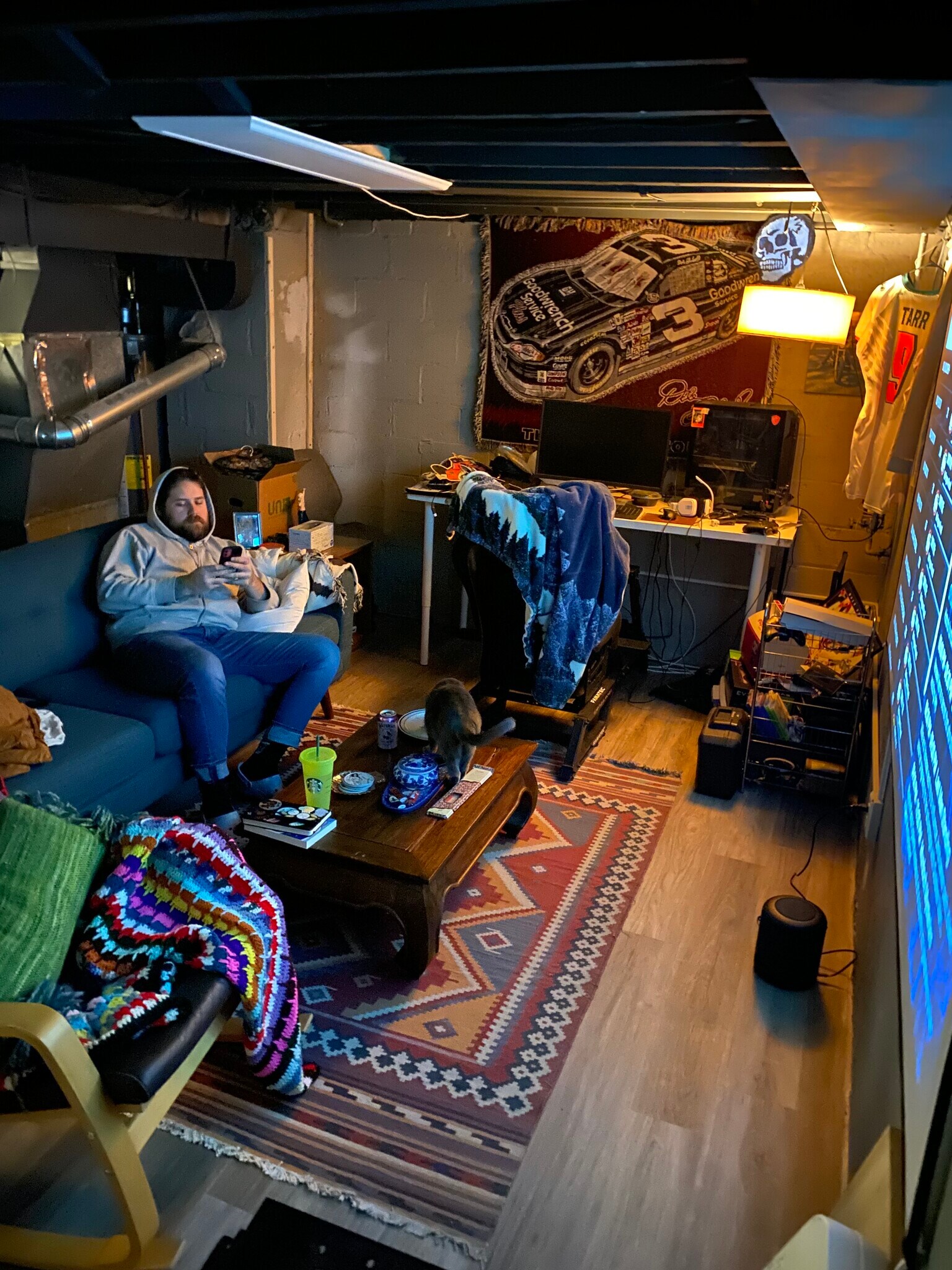 Tv room version of basement - 189 Newman St