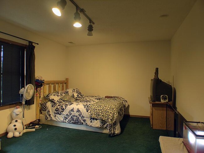 Downstairs Bedroom - 2509 Thomas Ct