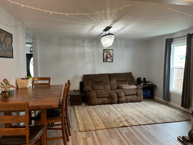 Living room - 803 Grove St