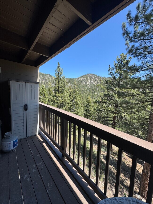 Primary Photo - 115 Tramway Dr