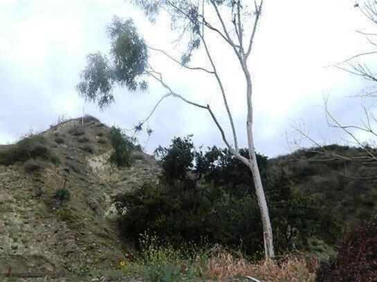 Building Photo - BEAUTIFUL MOUNTAIN VIEW 4BED/3BATH PLUS DE...