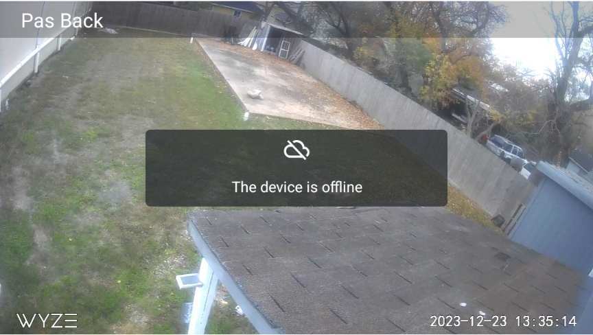 Backyard - 203 Johnson St