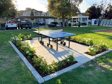 Outdoor community picnic area - 600 Hosking Ave