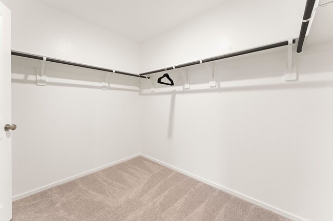 Building Photo - 29022 Rustic Windmill Wy