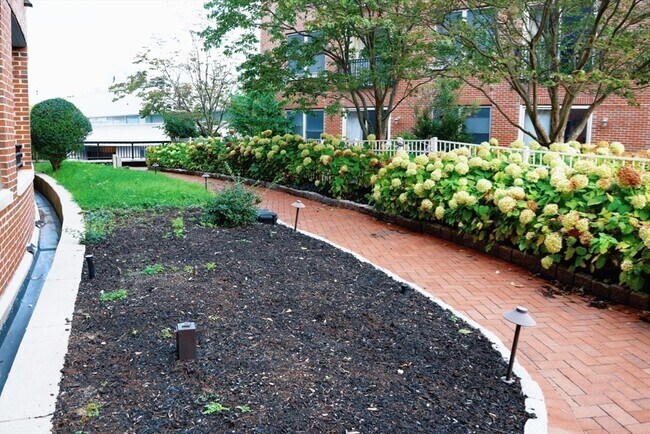 Building Photo - 110 Cypress St