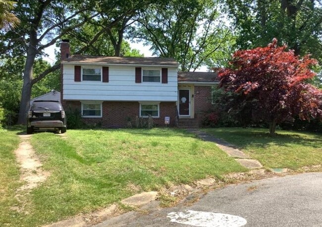 Primary Photo - Spacious Split Level