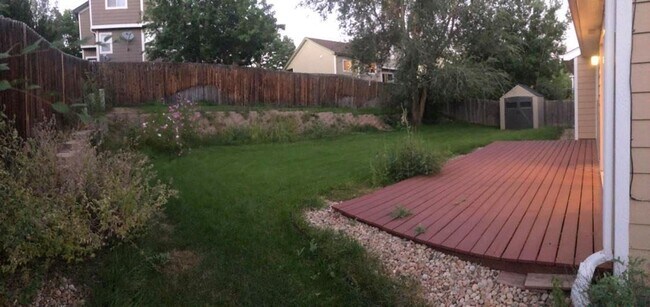 Building Photo - Bright 3 Bed, 2 Bath, Ranch-Style Home in South Fort Collins!