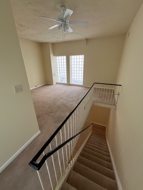 Building Photo - 907 Caroline St