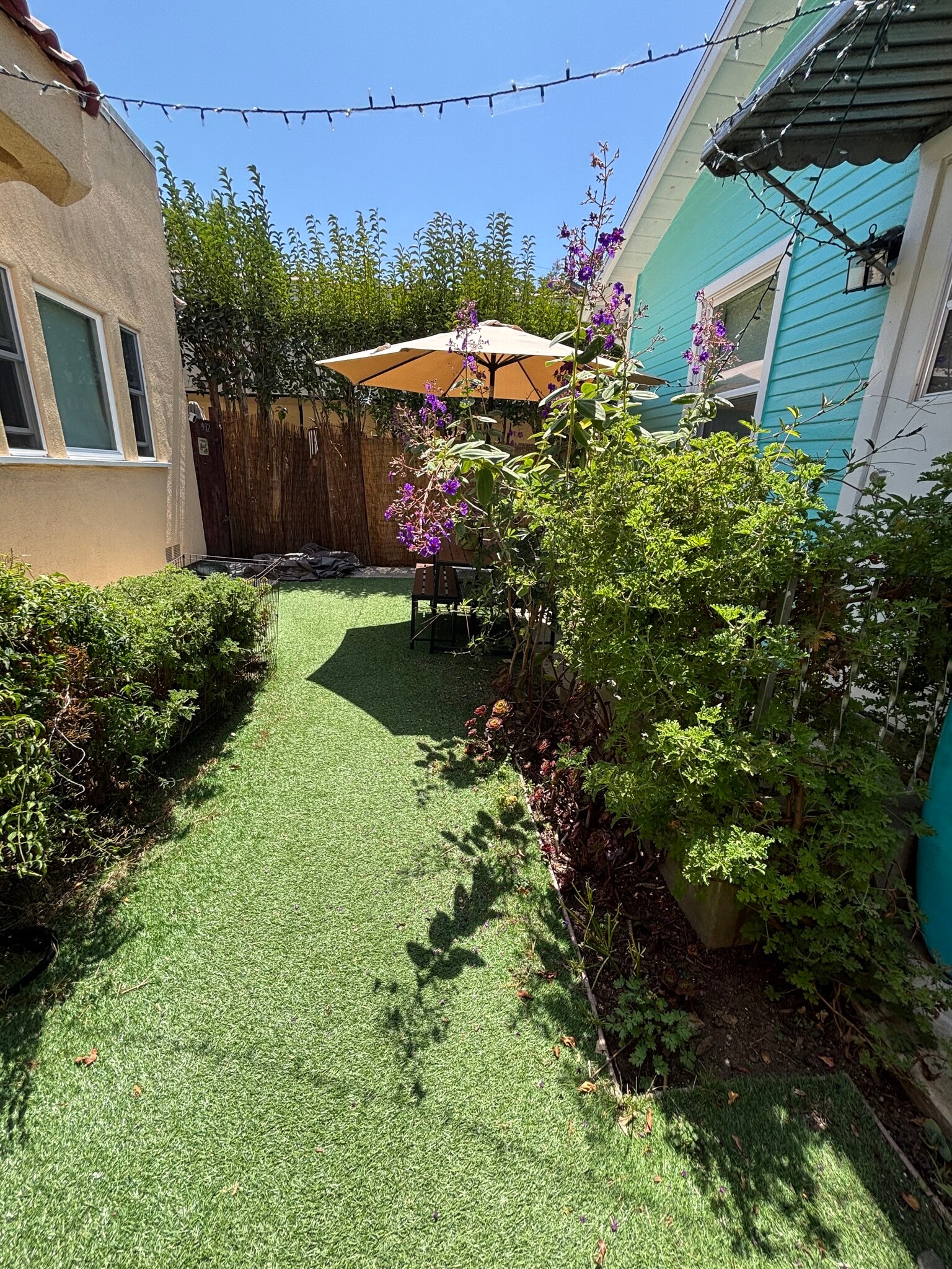 Front Yard + Garden - 912 1/2 California Ave