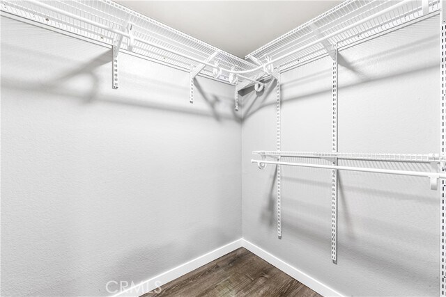 Building Photo - 501 Stone Harbor Cir