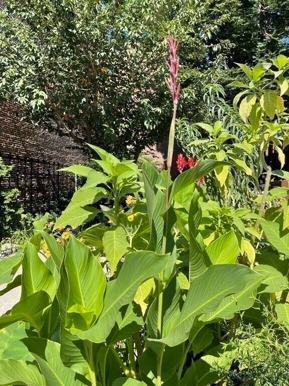 Building Photo - 565 Columbus Ave