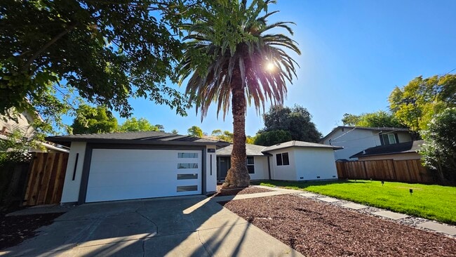 Building Photo - 3613 Perada Dr