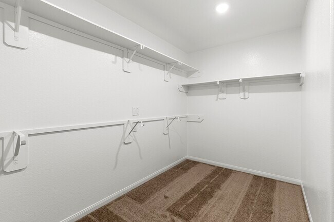 Building Photo - 3667 Windswept Dr