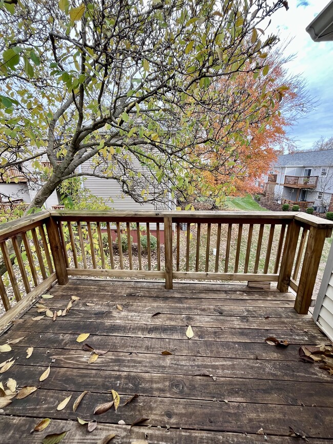 Private back deck - 1458 High School Dr