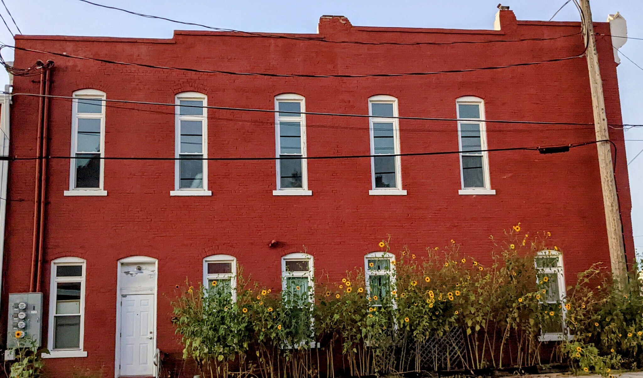 South side of building in the summer. - 114 S Pearl St