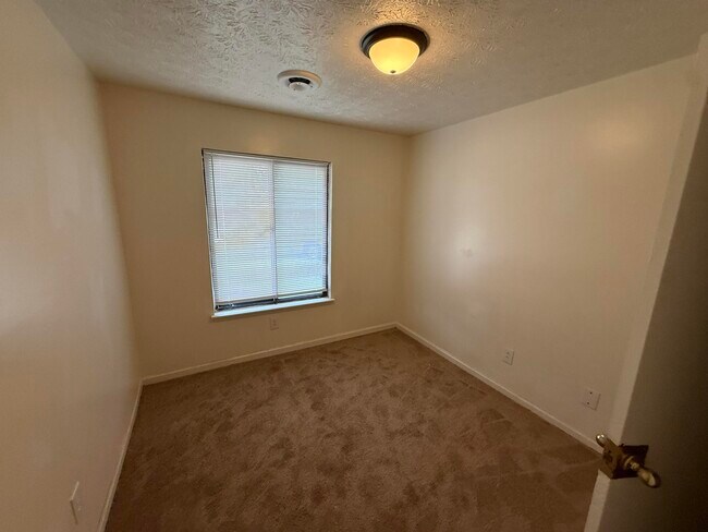 Building Photo - 3309 Colt Ct