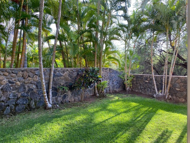 Building Photo - Tropical oasis