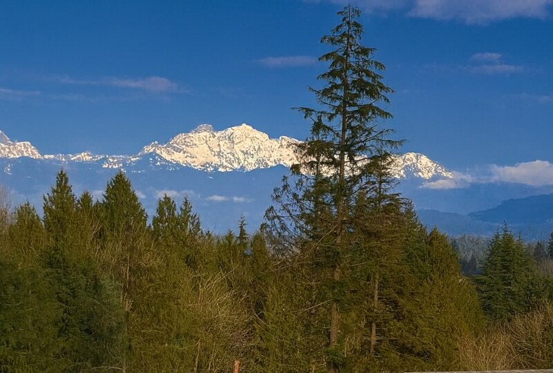 Building Photo - 10103 16th Pl SE