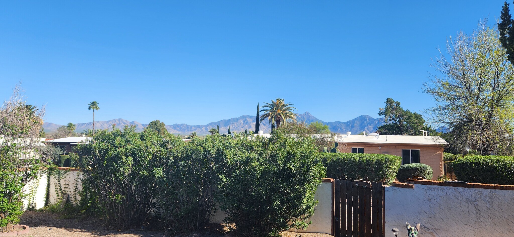View of Mountains from Kitchen Window - 150 E Los Mangos