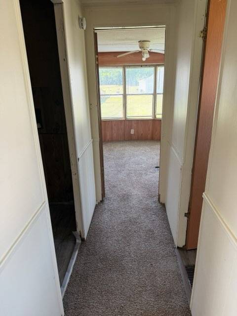 Building Photo - 217 Theresa Ln