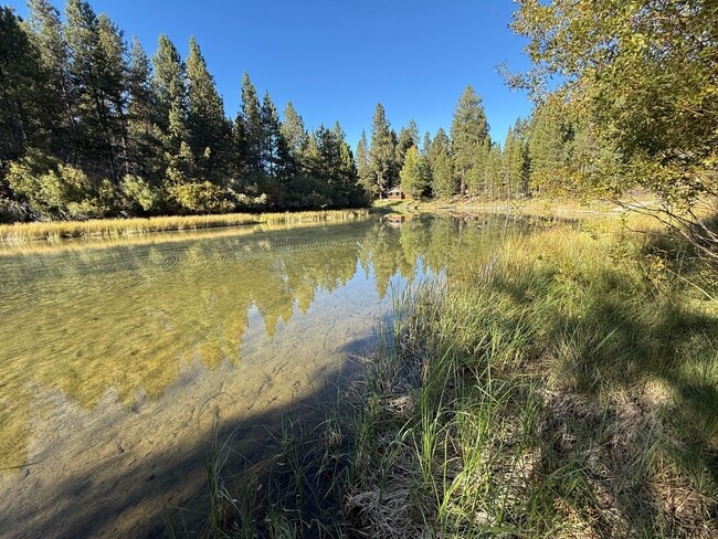 Building Photo - Furnished Riverfront Cabin on the Spring River – 4 Bedrooms, 3 Bathrooms 2,300 sq. ft. | Fully Fu...