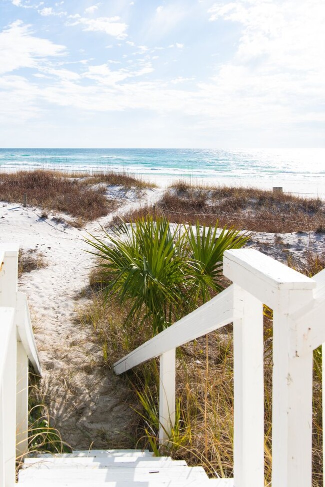 Building Photo - Newly Renovated Beach Front Four Bedroom Home