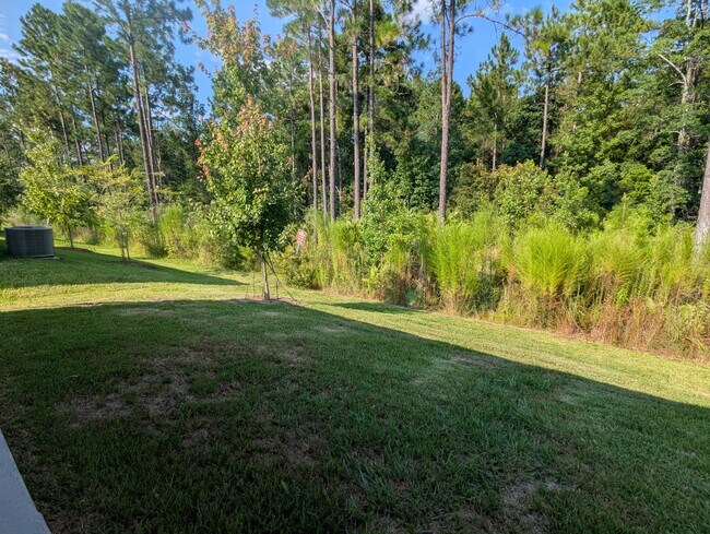 Building Photo - 126 Zancara St