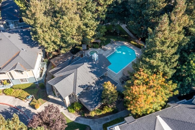 Building Photo - 2702 Somerset Park Cir