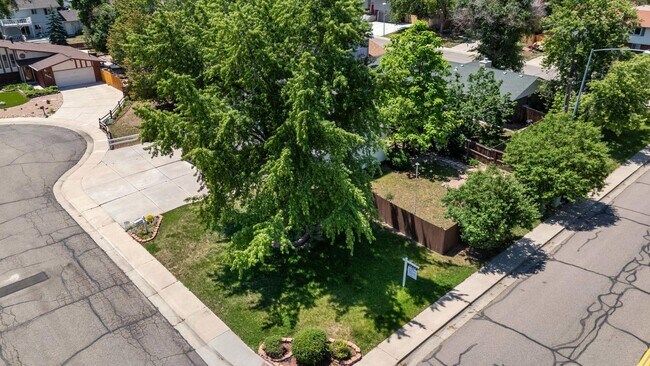 Building Photo - Available NOW! 3 Bedroom 1 Bath Beautiful Home in Arvada!
