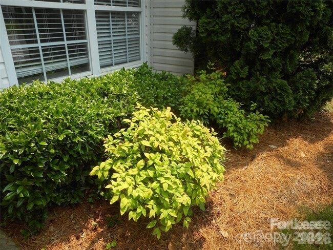 Building Photo - 2174 Sardony Ln