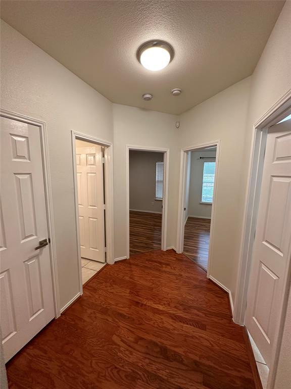 Building Photo - 3612 Silverio Trail
