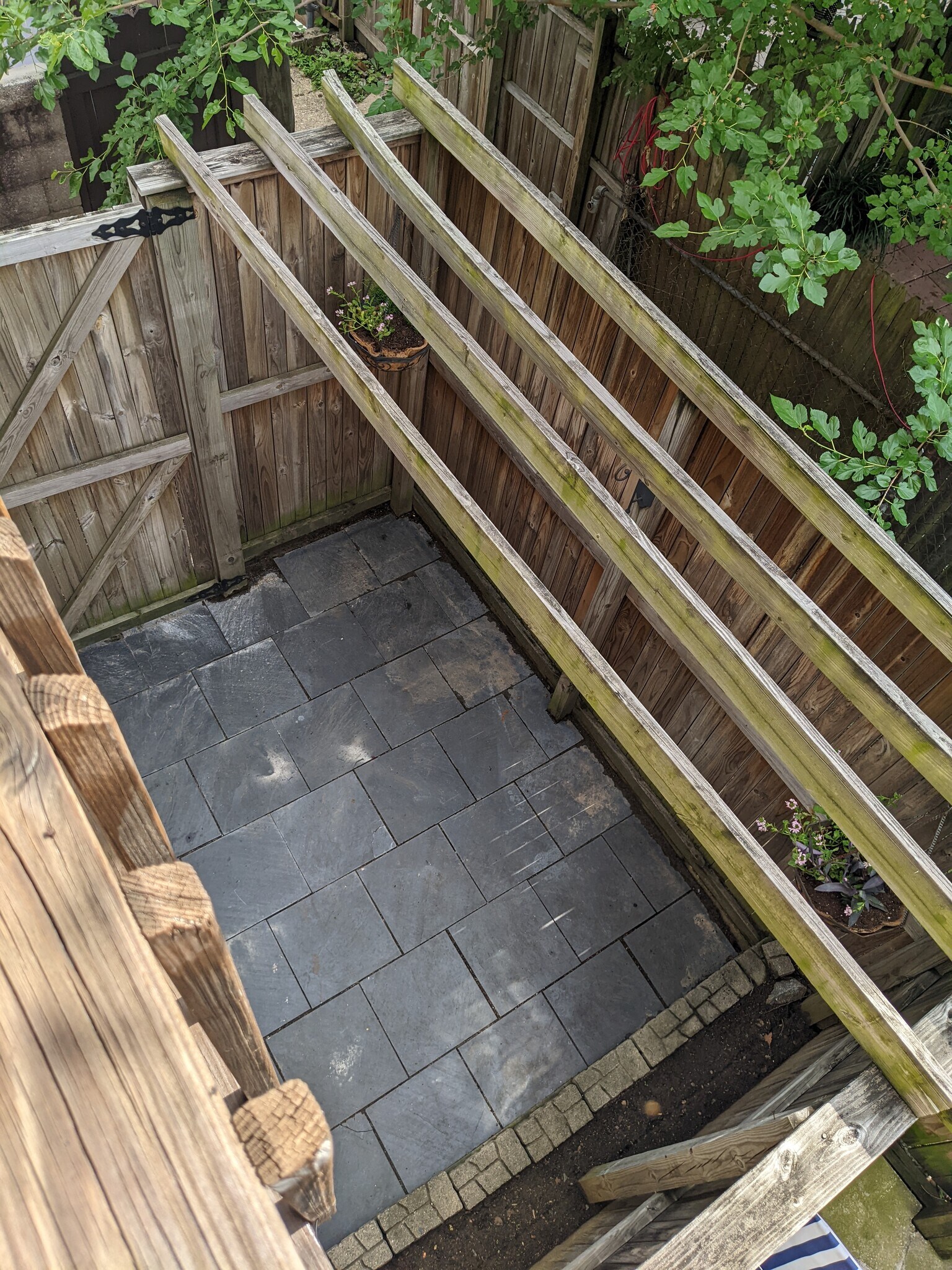 Yard from balcony - 1528 Olive St