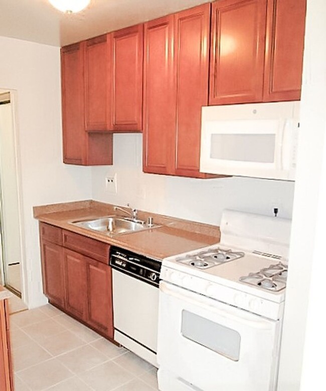 Building Photo - Large & Sun-Filled 1 Bedroom 1 Bathroom Co...