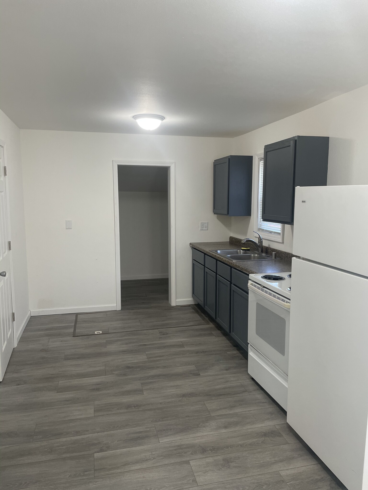 Kitchen, pantry, laundry - 315 Rose St