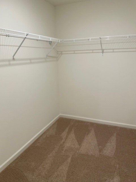 Building Photo - 241 Grand Central Wy