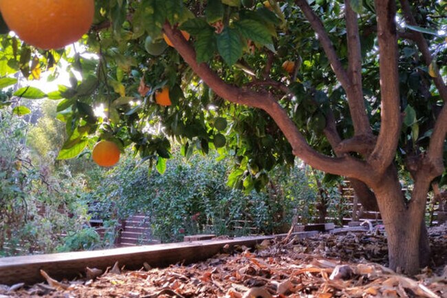 Building Photo - 2756 Locksley Pl