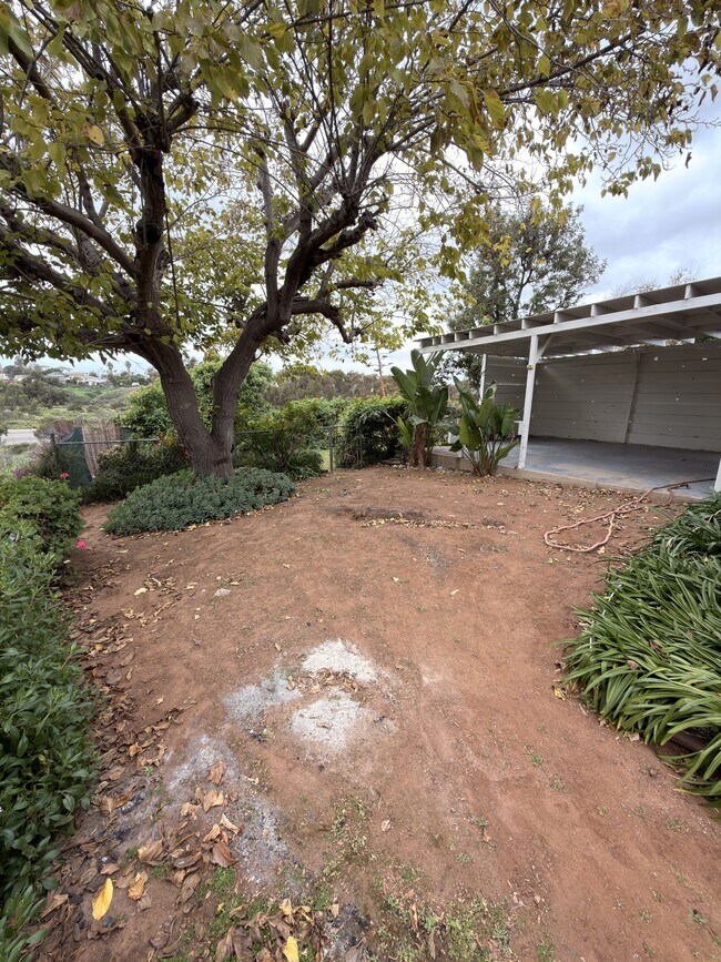 Building Photo - 2778 Mimika Pl