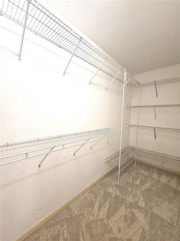 Building Photo - 10805 Pinewalk Forest Cir