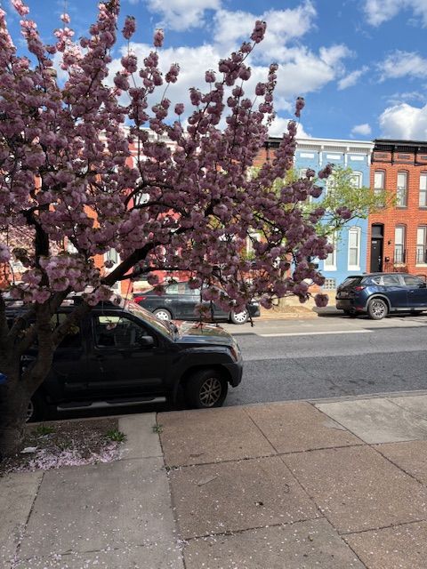 Primary Photo - 420 N Collington Ave