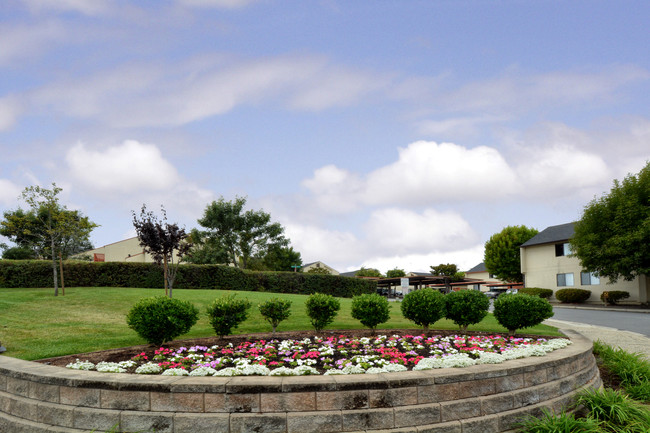 Primary Photo - Meadow View Apartments