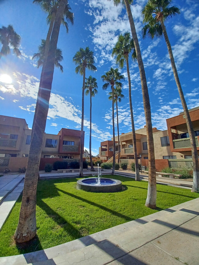 A gorgeous courtyard lined with palm trees greets you as you enter the condo! - 3500 N Hayden Rd