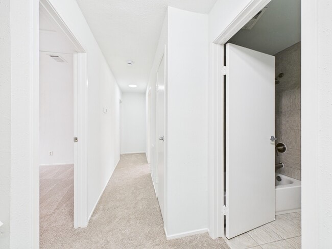 Building Photo - 2103 Mustang Springs Dr