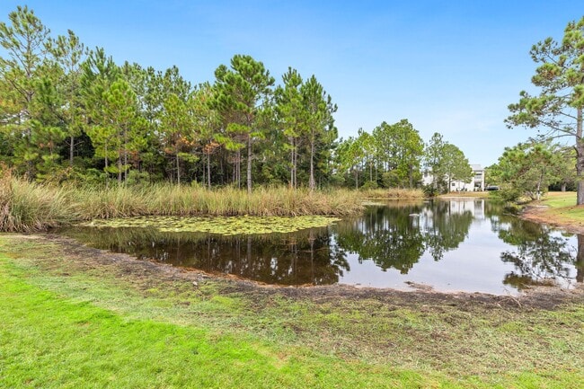 Building Photo - 24 Talon Ct