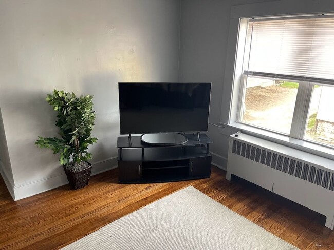 Building Photo - Charming 3BR Apt in Johnson City