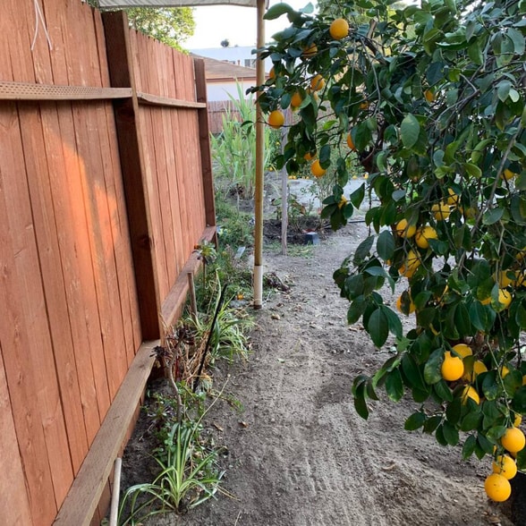 Building Photo - 11744 Archwood St