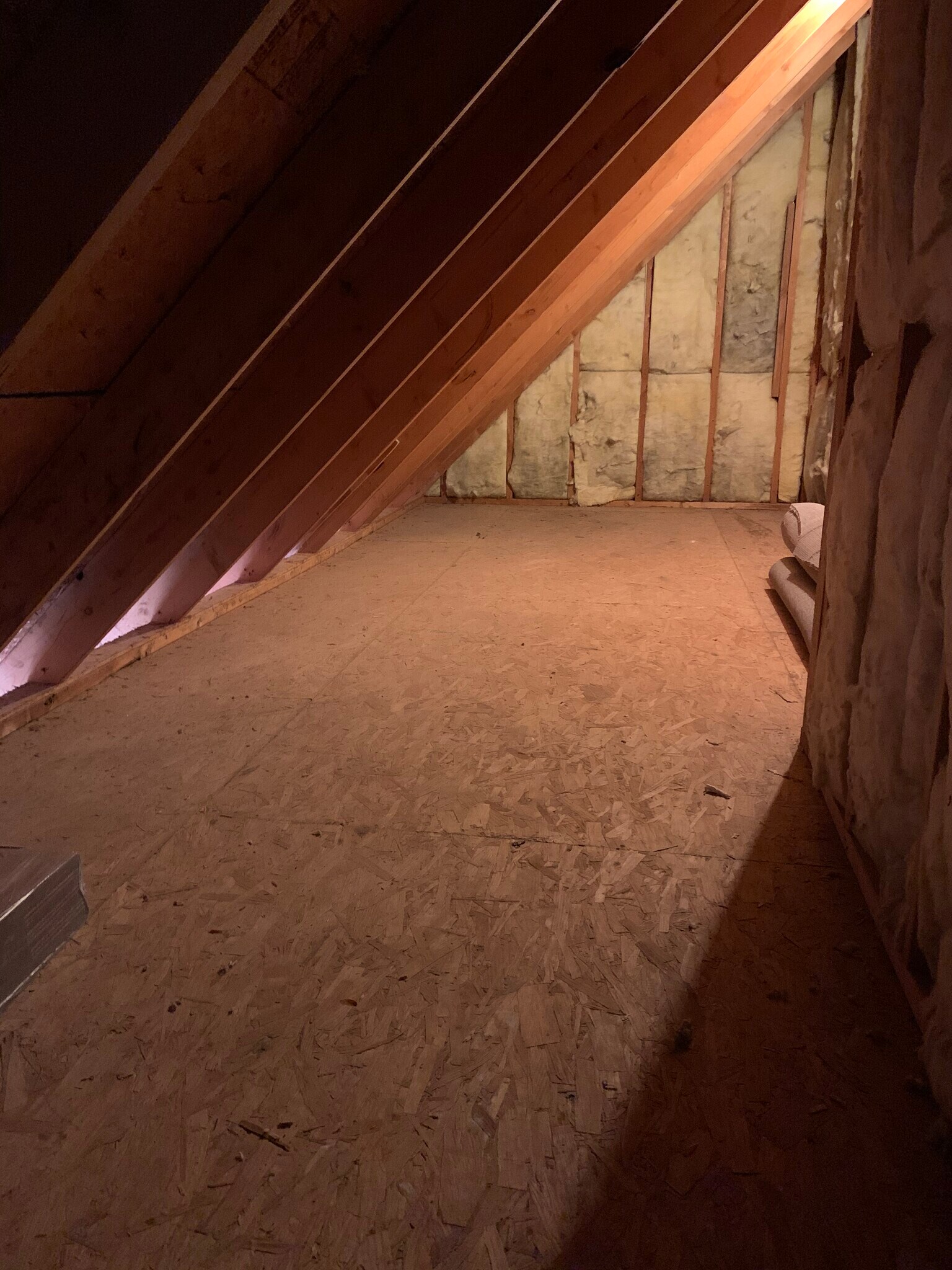Attic space - 424 W Abington Way