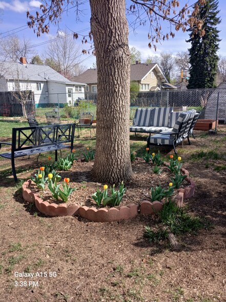 Building Photo - 909 Collyer St